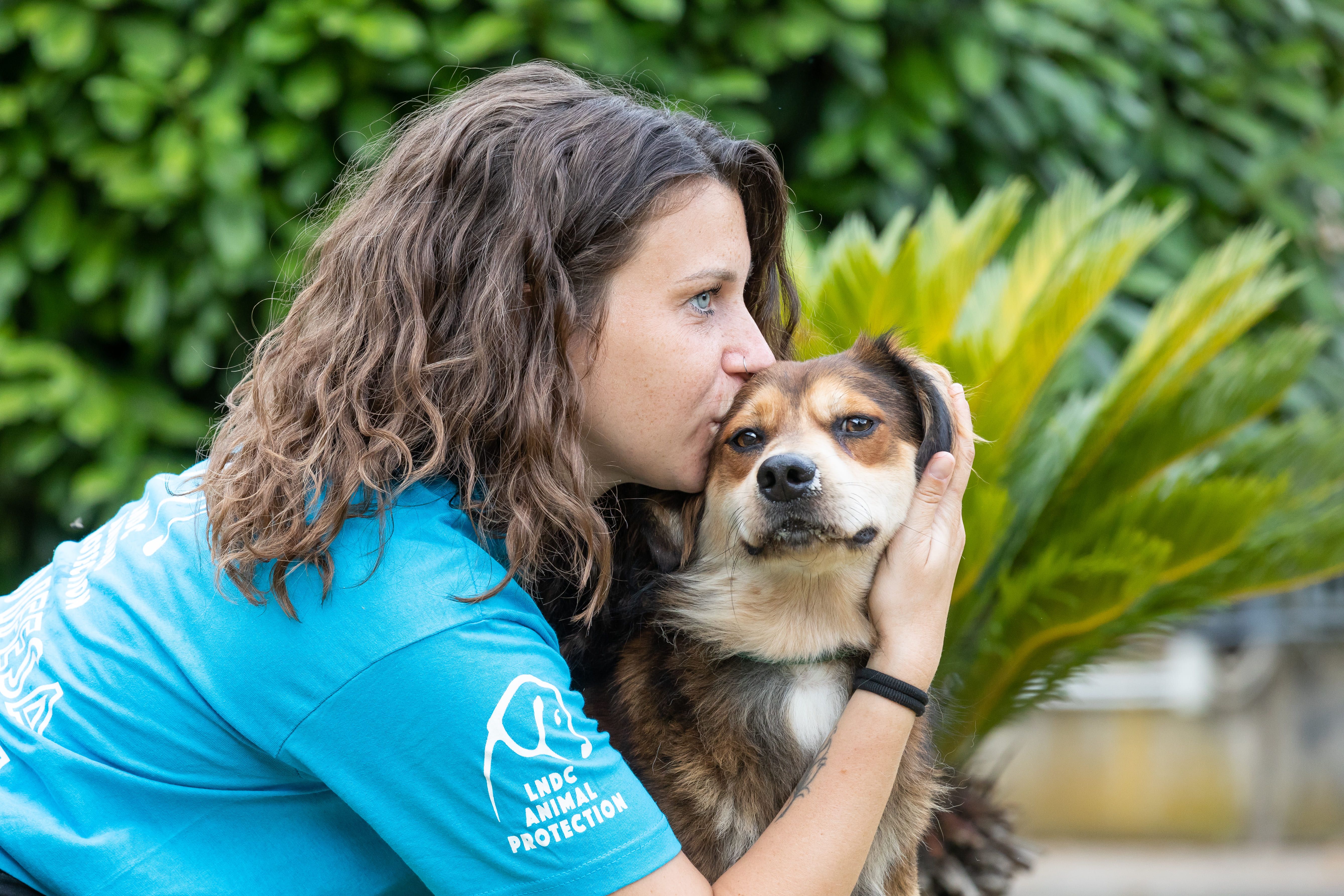 Lndc Animal Protection Celebra I 75 Anni A Roma Sempre In Difesa Degli lndc-animal-protection-celebra-i-75-anni-a-roma-sempre-in-difesa-degli