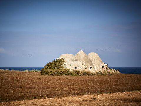 A group of trulli, the typical buildings of central-southern Puglia: a structure similar to the state of the scene of the dispute with the help of the electrician