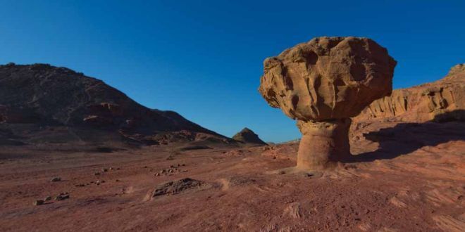 Negev, le orme della storia e l’oasi Ein Avdat