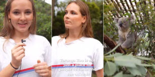 Ingrid Alexandra, la sua nuova vita in Australia è tra gli animali