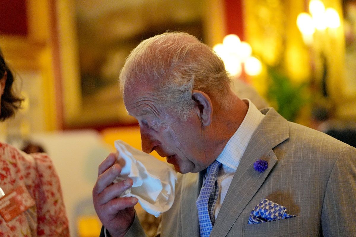 King Charles of England suffers from the heat... at the climate conference at St James's Palace in London! He dries himself several times with his handkerchief and someone holds a fane in front of his face (Gettyimages)