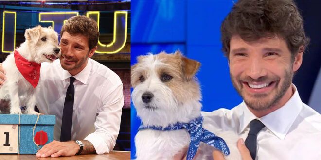 Stefano De Martino torna a casa, ma Affari Tuoi cambia volto: le novità e l’arrivo di Tommasino